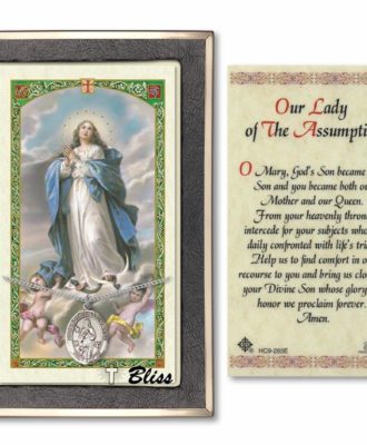 Our Lady of the Assumption - Christian Apostles.com