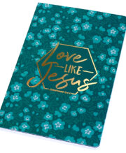 (2 pack) Kerusso Love Like Jesus Journal