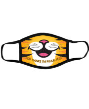Kerusso Youth Face Mask Tiger